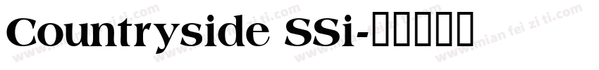 Countryside SSi字体转换